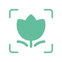 拍照识物:植物识别&拍照识花