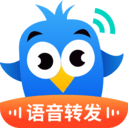 飞鸟语音转发 vv1.0.13