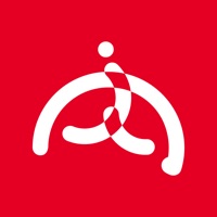 内部人系统