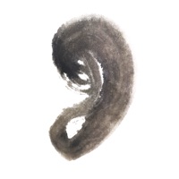 晓耳朵