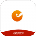 小柿子视频壁纸
