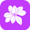 小兰君养花大师