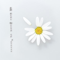 雏菊的二维世界