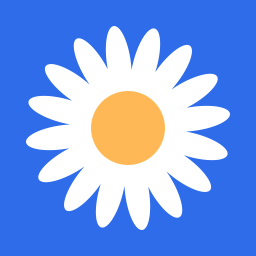 一方面工菊