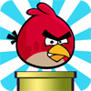 Foolish Bird