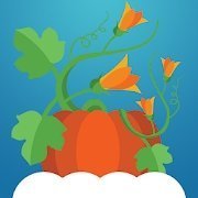 云端花园Cloud Gardens