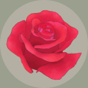 玫瑰花园 v1.11