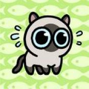 冒险猫内置菜单 v9