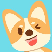 柯基最新版 v3.4.2