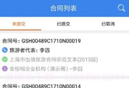 金棕榈钥签v1.0.7截图