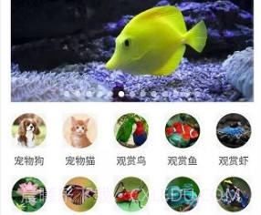 万物识别v2.1.56.6截图