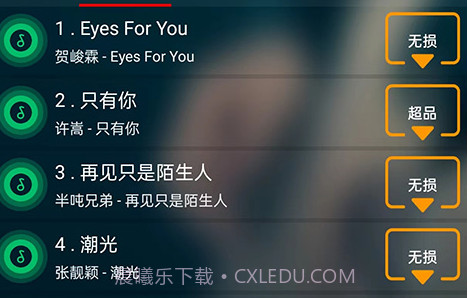 搜云音乐手机版v2.8截图