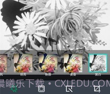 美人萌图相机v4.0.11截图