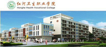 红河卫职院oav3.2.10截图