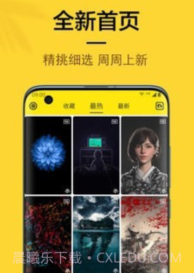橙子4D动态壁纸v1.0.11截图