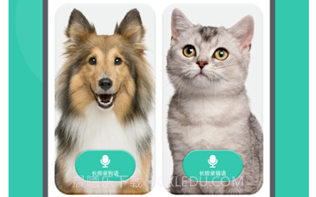 猫狗交流器V3.12.432截图