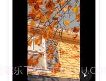云秒剪v1.7截图
