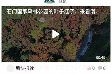 新快报2.13截图