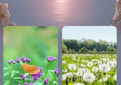 阳光充电v2.0.7截图