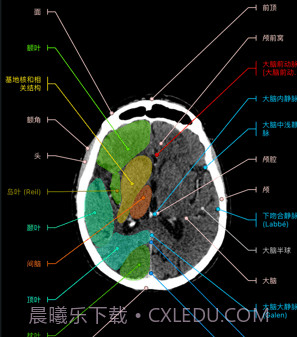 e-anatomyv7.1.10截图
