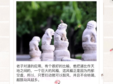 善信最新版v3.6.5截图