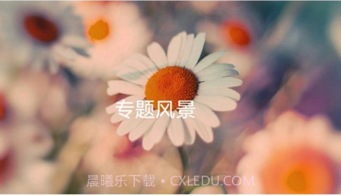 嗨图壁纸v1.12截图