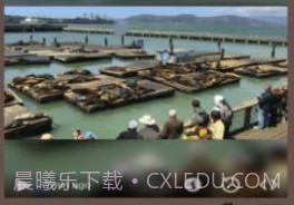 Live Camera Viewer软件v1.7截图