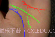 免费拍照看手相算命V1.0.8截图