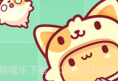皮皮猫v1.9截图