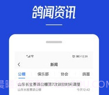 青鸽网v3.6.10截图