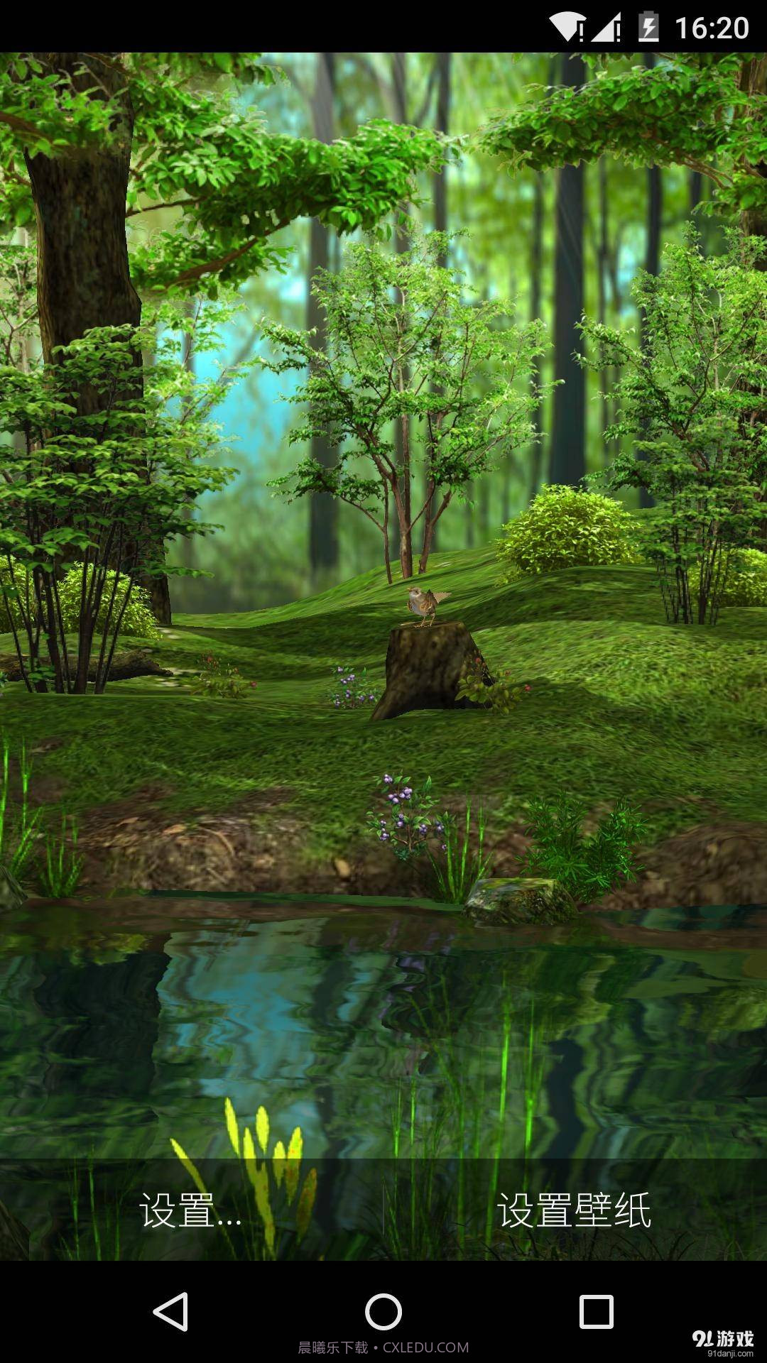 3D晨光森林1.6.11截图