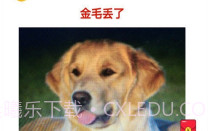 宠物的日记V1.0.6截图