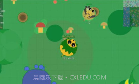 动物大作战正版v1.4截图