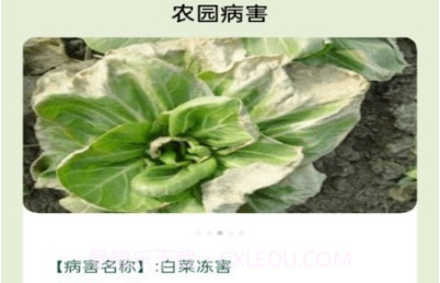 田园手册v1.0.12截图