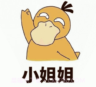 头像表情鸭v1.15截图