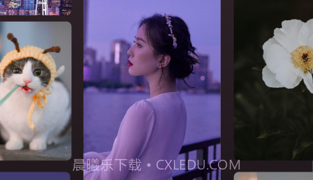 贴画壁纸v1.12截图