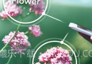 PlantSnapV3.00.6截图