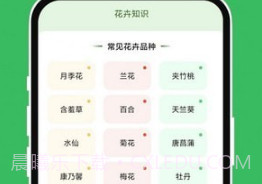 青沁睐匣子v1.0.12截图