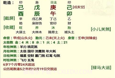 盲派八字v13.0.10截图