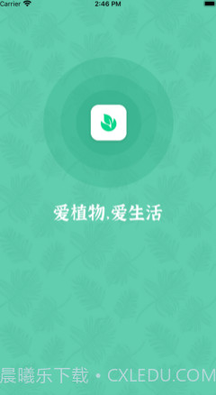 口袋绿植v1.12截图