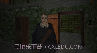 祖传房子的可怕奶奶v1.11截图