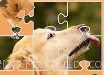 我爱天天拼图v1.1.8截图