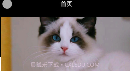 悦宠宠物美容服务v1.9截图