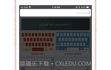 Badam输入法v1.0.18截图