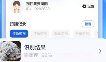 ai识别大师v1.0.10截图
