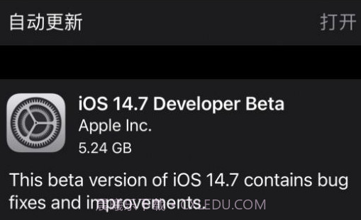 iOS14.7正式版v1.6截图