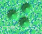 Virtual Slime粘液模拟器v1.5截图