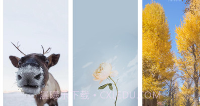 简单壁纸v1.9截图