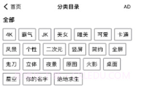 右右壁纸屋v1.9截图