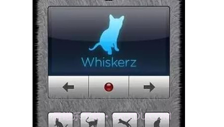 人猫翻译器v1.3.11截图